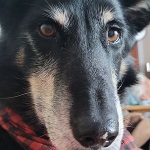 Meet your Posher, Mike